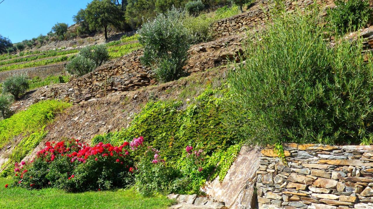 Country House Quinta Da Salgueira Alijo Exterior photo