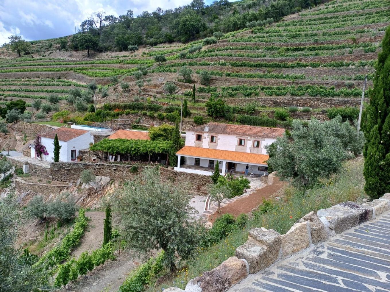 Country House Quinta Da Salgueira Alijo Exterior photo
