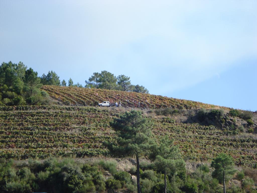 Country House Quinta Da Salgueira Alijo Exterior photo